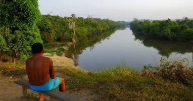 Terras indígenas da Amazônia influenciam chuvas que abastecem o agro