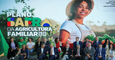 Plano Safra 25/26 prevê R$ 89 bilhões para agricultura familiar