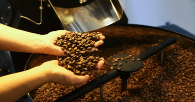 Setor cafeeiro pode ser forçado a redirecionar produção, diz USP