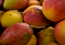 Abrafrutas apoia plano e pede atenção a pequenos produtores