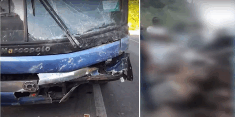 Acidente na BR-101: 3 irmãos e outras 4 pessoas morrem após colisão com ônibus que saiu do ES