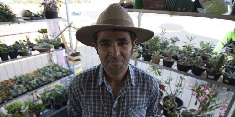 CMN facilita acesso de agricultor familiar a fundo de reforma agrária