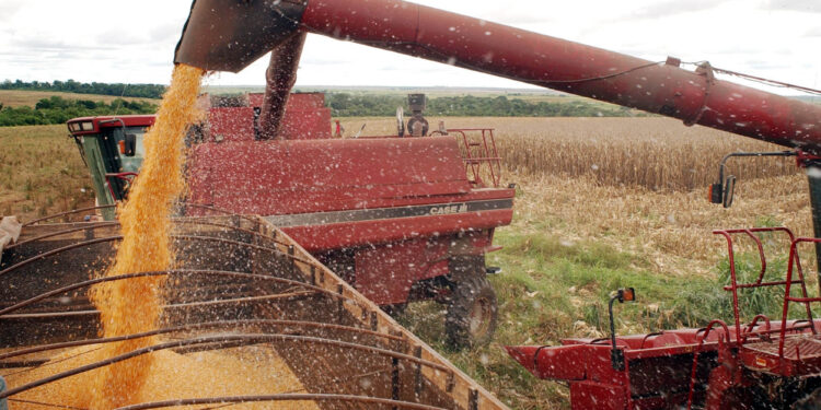 Com superávit de R$ 6 bi, São Paulo cresce 4,3% nas exportações do agronegócio em 2023