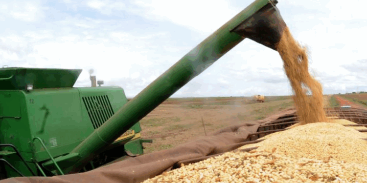 Desempenho do agronegócio brasileiro bateu recorde em maio de 2023