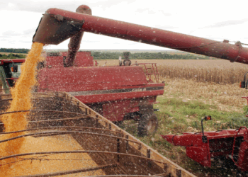 Agropecuária continua a liderar o desempenho de exportações em abril