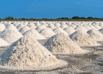 Brasil apresenta a maior reserva do minério sal-gema da América Latina