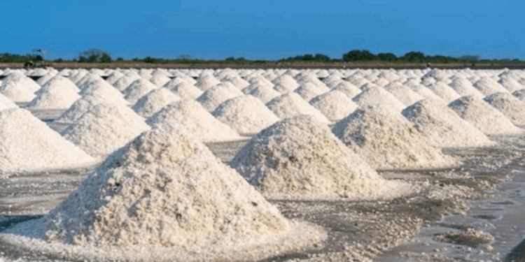 Brasil apresenta a maior reserva do minério sal-gema da América Latina