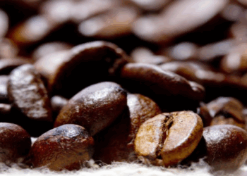 Preço do café arábica inicia a quinta-feira (09) com baixa de 3,23%