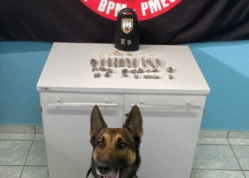 Operação conjunta da PC e PM prende homem com maconha em Pinheiros