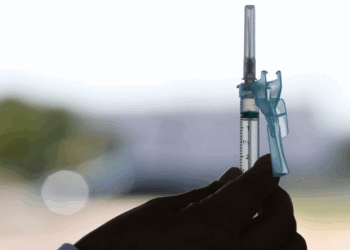 Brasil precisa de investimentos públicos e privados na área da saúde, diz especialista