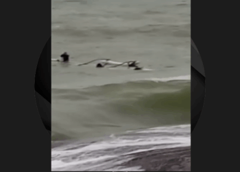 Canoa havaiana vira no mar e Marinha é acionada para resgate em Guarapari
