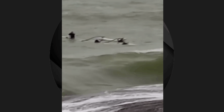 Canoa havaiana vira no mar e Marinha é acionada para resgate em Guarapari