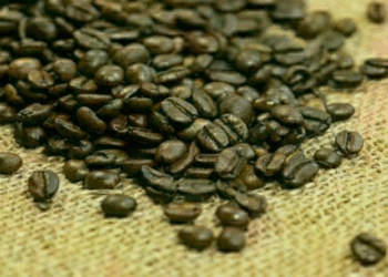 Preço do café arábica tem alta nesta quinta-feira (3)