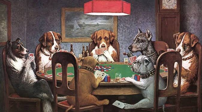 Briga de cachorro grande na ALES