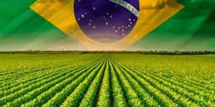 CNA Prevê Aumento De 2,5% Do PIB Do Agronegócio No Brasil