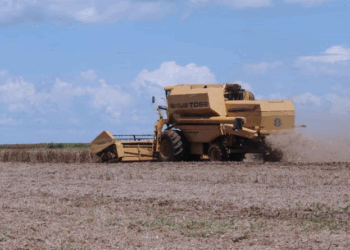 Agronegócio brasileiro fecha primeiro semestre com superávit acumulado de US$ 74 bi