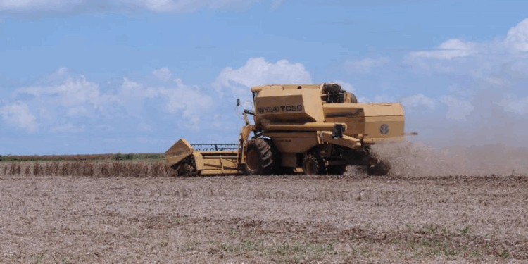 Agronegócio brasileiro fecha primeiro semestre com superávit acumulado de US$ 74 bi
