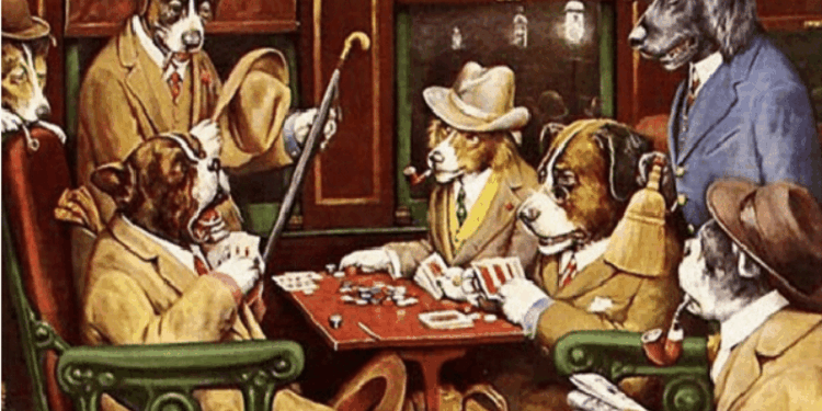 Segue a briga de cachorro grande na ALES