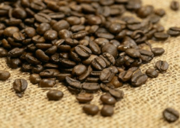 Preço do café arábica tem queda nesta quarta-feira (12)