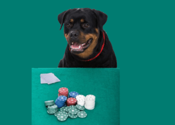 E deu rottweilers na Ales