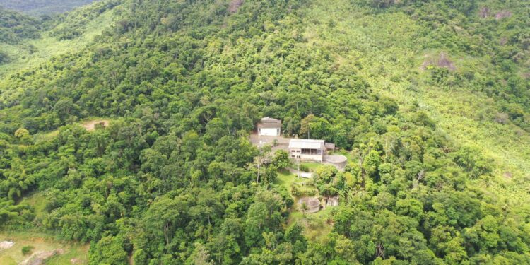 Viana prepara ações com foco na preservação durante a Semana do Meio Ambiente