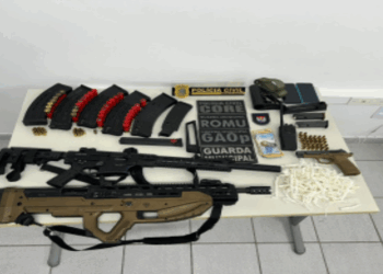Guarda Municipal de Vitória apreende armas em morro da capital