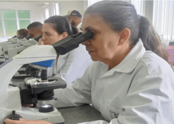 Profissionais da Saúde da Prefeitura da Serra são qualificados com novo teste para detecção de Esquistossomose