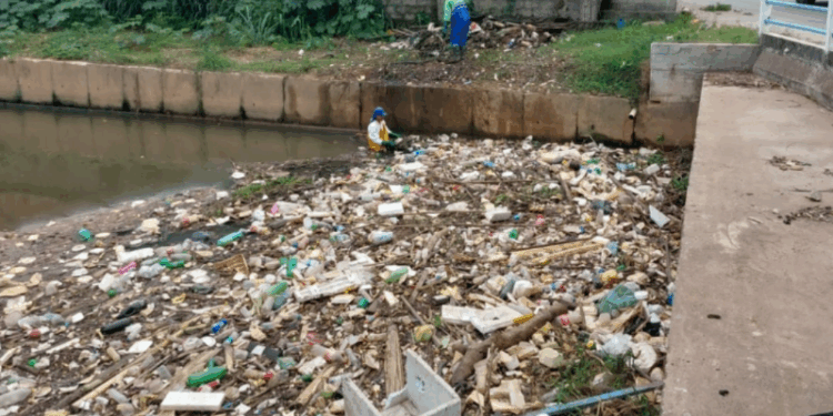 Ação de limpeza retira 4 toneladas de lixo do Rio Marinho em Cariacica