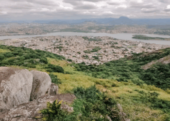 Vitória divulga ações para cuidado e preservação do verde