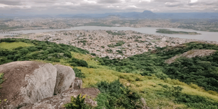 Vitória divulga ações para cuidado e preservação do verde
