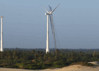Capacidade de geração de energia eólica deve bater recorde neste ano
