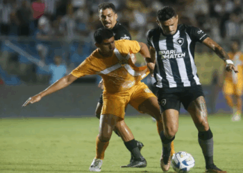 Com 7 a 1 sobre o Brasiliense, Botafogo aplica sua maior goleada na história da Copa do Brasil