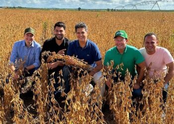 O Vice-Governador e Secretário de Desenvolvimento faz visita técnica a propriedade rural em Montanha