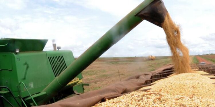 Previsão do IBGE é de recorde histórico da safra para 2023,   307,3 milhões de toneladas