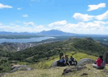 Parques naturais de Vitória contam com serviço de manutenção dos aceiros