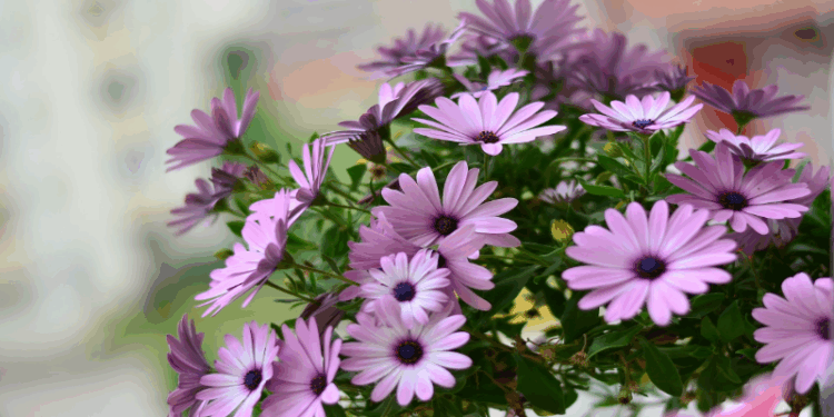 Março Lilás chama atenção para prevenção do câncer de colo de útero