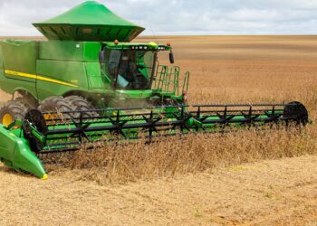 Mato Grosso: entra em vigor o vazio sanitário da soja