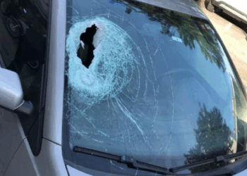 Polícia prende suspeito de atirar pedra contra advogada dentro de carro; Vítima teve afundamento de crânio