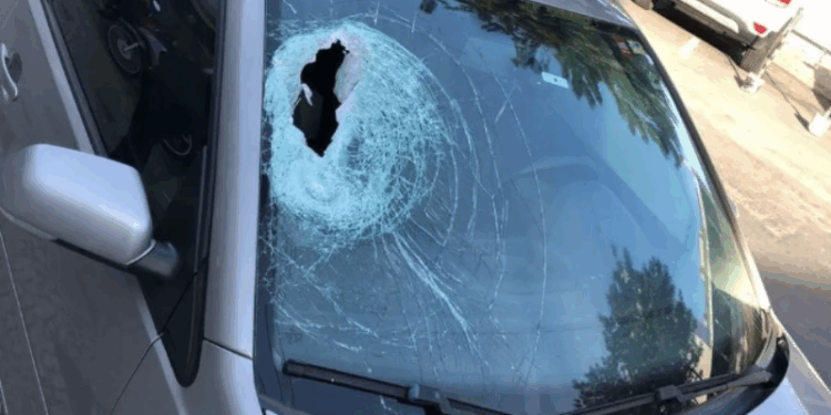 Polícia prende suspeito de atirar pedra contra advogada dentro de carro; Vítima teve afundamento de crânio