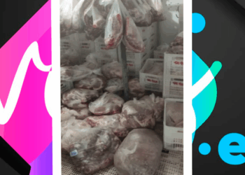 6 toneladas de carnes estragadas e sem procedência: Distribuidora é fechada e empresário é preso em Vila Velha