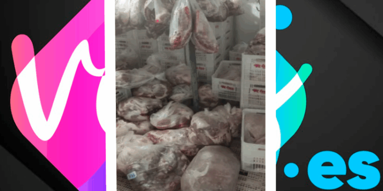 6 toneladas de carnes estragadas e sem procedência: Distribuidora é fechada e empresário é preso em Vila Velha