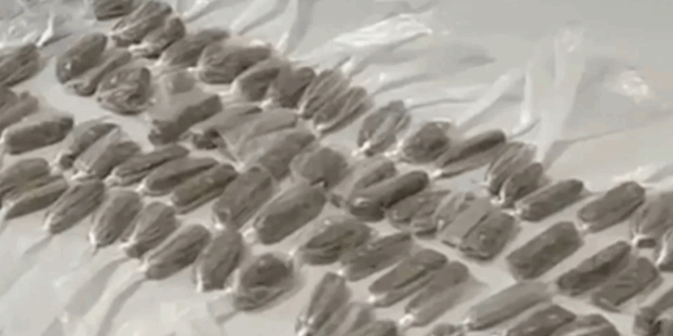 763 adolescentes são apreendidos em 6 meses no ES; maioria tem ligação com o tráfico de drogas