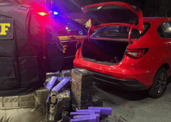 Mais de 300 kg de maconha são apreendidos pela PRF na BR-101, em Viana