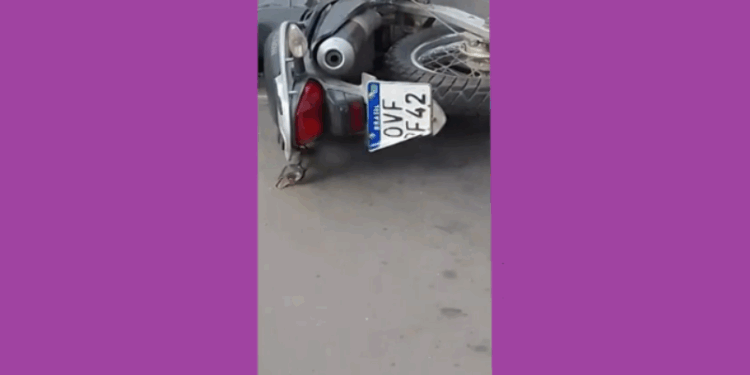 Corpo de motociclista é encontrado preso em cerca após acidente em Cachoeiro de Itapemirim