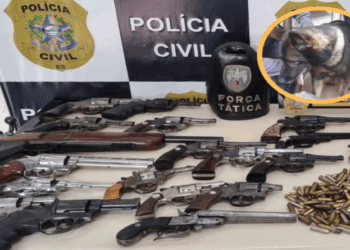 Cachorro da PM flagra 16 armas em aparelho de som em Cachoeiro