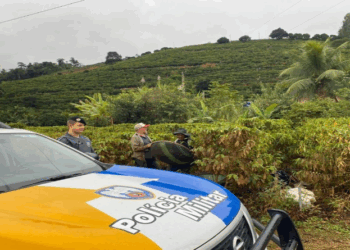 Governo do Estado lança Operação Colheita 2023