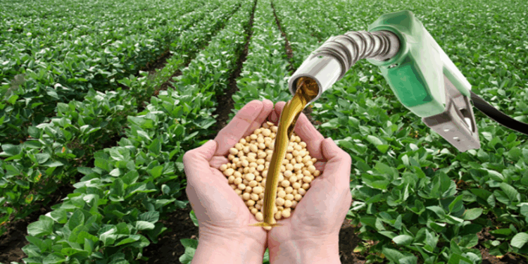 Governo Prepara Anúncio De Mais Biodiesel Na Mistura Ao Óleo Diesel
