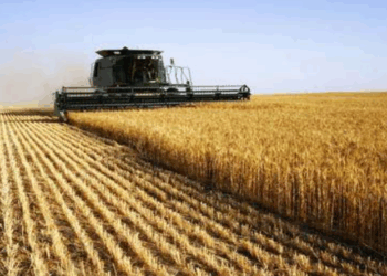 “Ao atacar o agro, Lula se distancia de quem gera renda”, diz líder da FPA