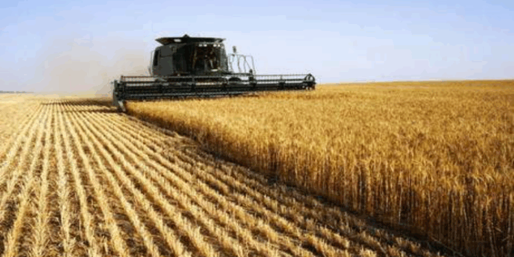 “Ao atacar o agro, Lula se distancia de quem gera renda”, diz líder da FPA