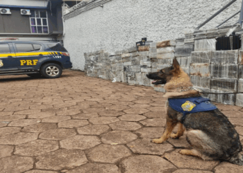 Maior apreensão de cocaína da história da Polícia Rodoviária Federal